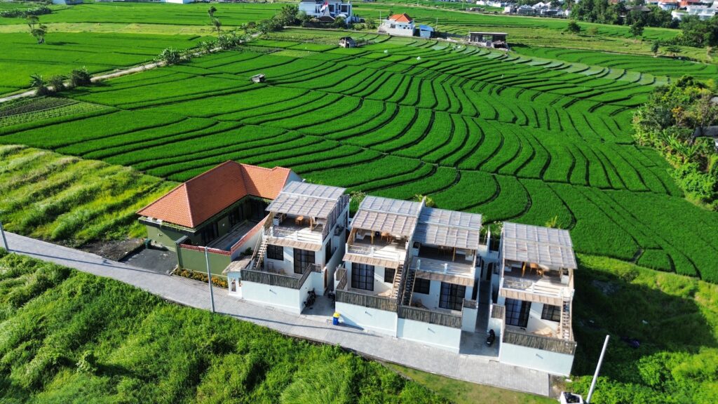 dcim100mediadji 0702.jpg